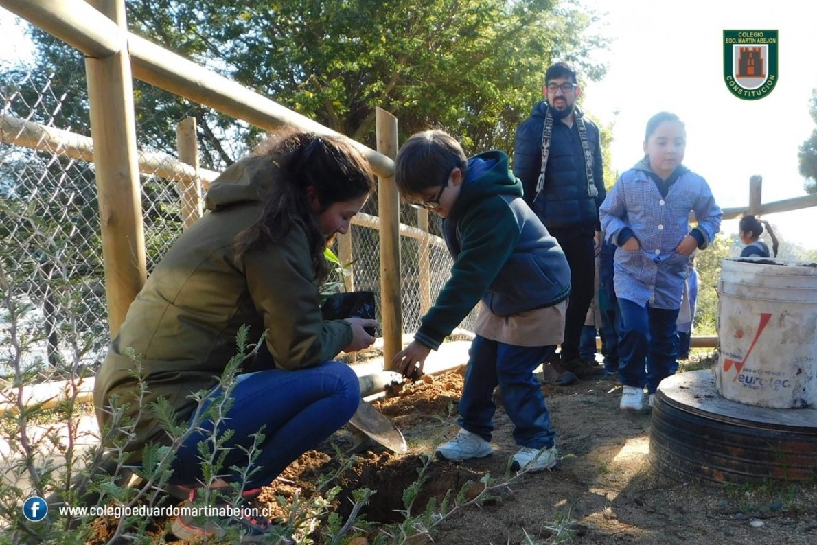 ÁRBOL TRADICIONAL MAPUCHE